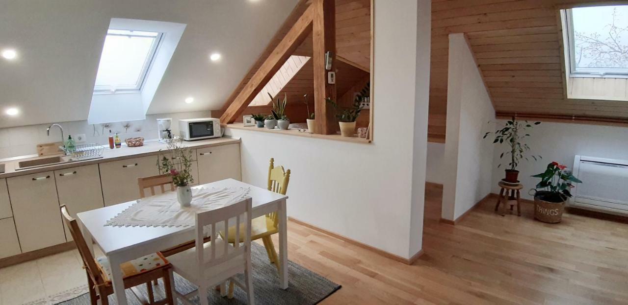 Prenocisca Angelin Hram, Tiny Apartments Markovec ภายนอก รูปภาพ